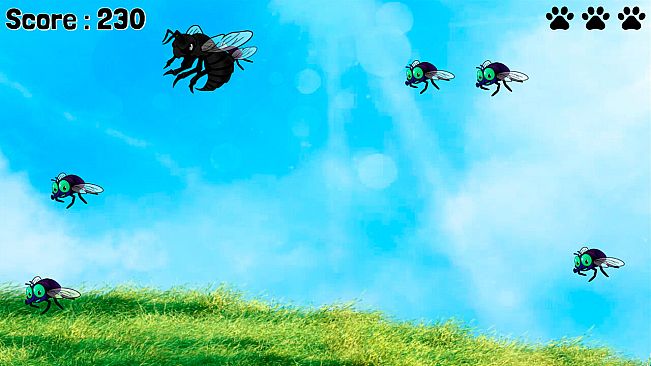 SHADE The Border Collie Flycatcher