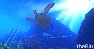 theBlu - Reef Migration