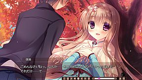 The logic of the miniature garden