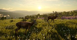 theHunter: Call of the Wild - Cuatro Colinas Game Reserve