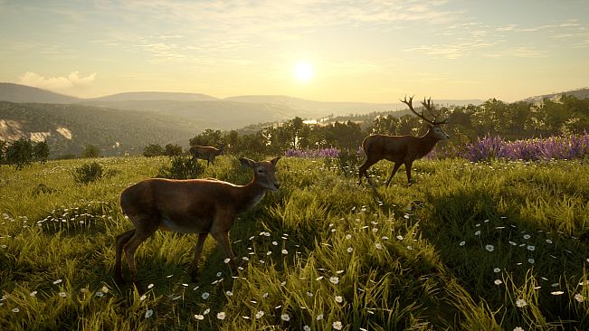 theHunter: Call of the Wild - Cuatro Colinas Game Reserve