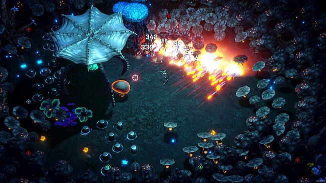 Survivors of the Dawn