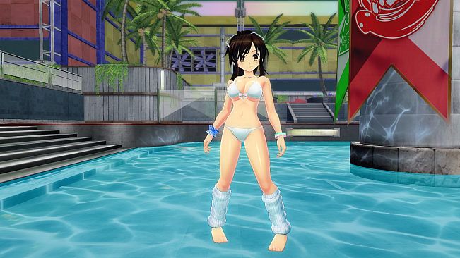 SENRAN KAGURA Peach Beach Splash - Mega Accessory Pack