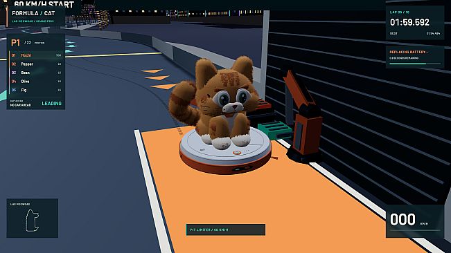 Formula Cat