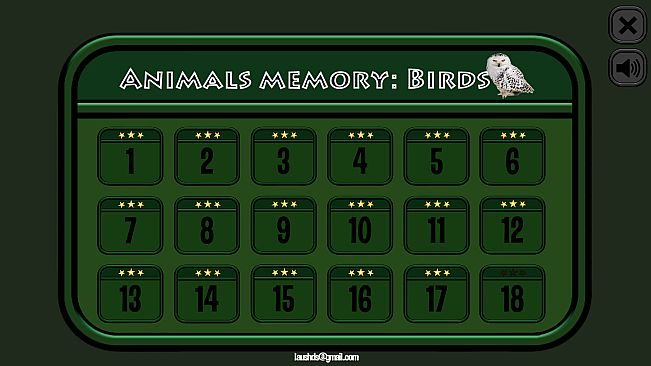 Animals Memory: Birds
