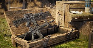 Vigor - Last Judgment Pack