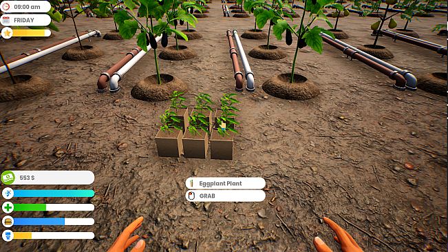 Farmer Life Simulator