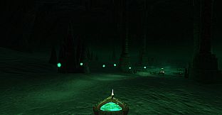 The Wild Eternal
