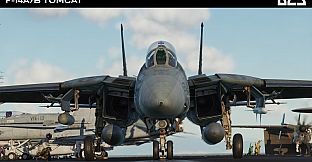 DCS: F-14A/B Tomcat by Heatblur Simulations