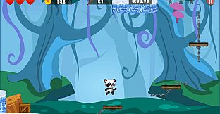 The Incredible Adventures of Super Panda