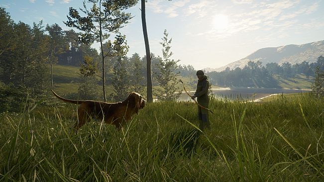 theHunter: Call of the Wild - Bloodhound - Windows 10