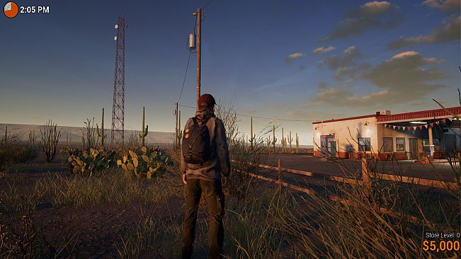 Roadside Store Simulator