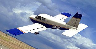 RealFlight Evolution - E-flite Cherokee 1.3m