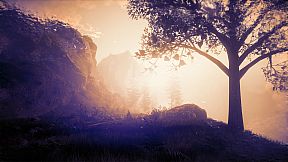 The Butterfly Sign: Human Error