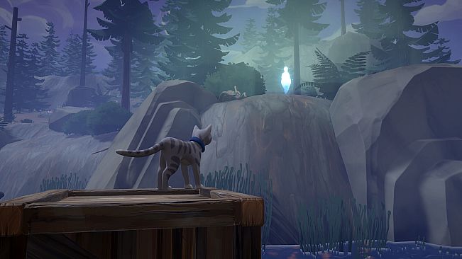 Lumi: A Cat in the Mist