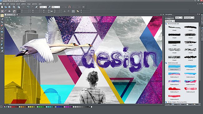 Photo & Graphic Designer 12 Steam Edition