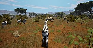 The Savana