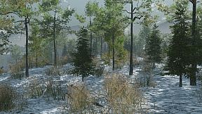 Pro Deer Hunting Out West