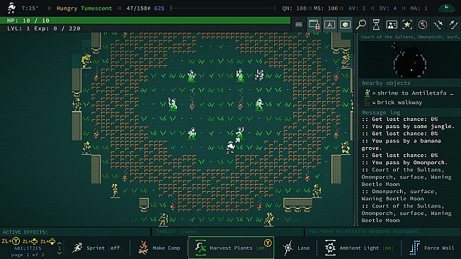 Caves of Qud