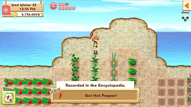 Harvest Moon: Light of Hope Special Edition