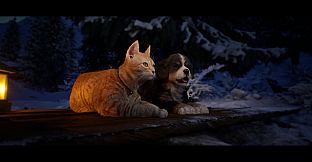 Cold Paws