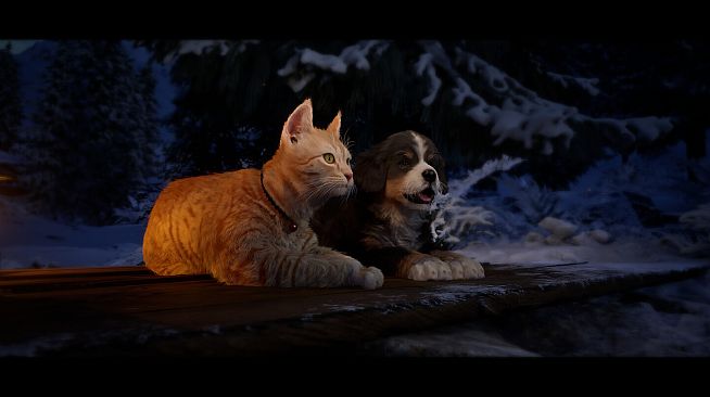 Cold Paws