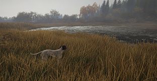theHunter: Call of the Wild - German Shorthaired Pointer