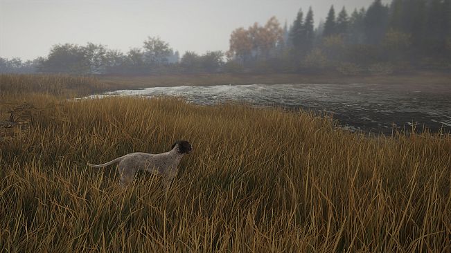 theHunter: Call of the Wild - German Shorthaired Pointer