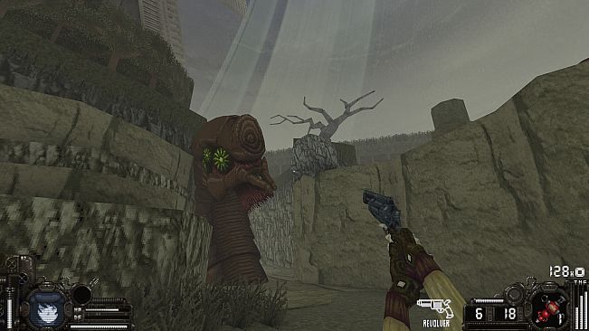 Ringwyrm
