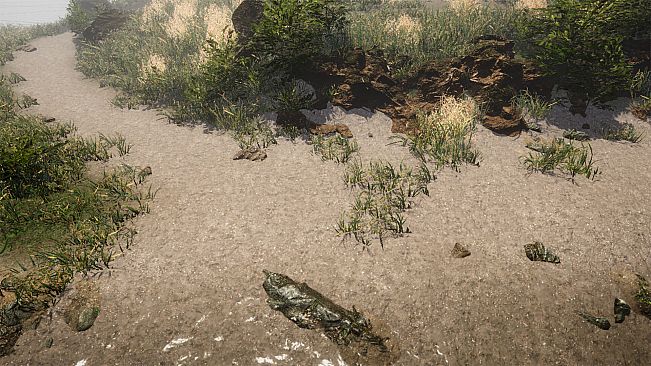 Empire of the Insects