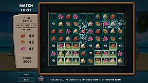 Vacation Paradise: Florida Collector's Edition