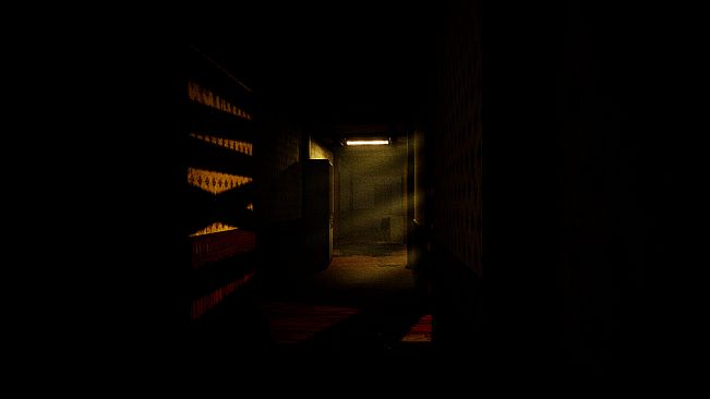 Dark Investigation : Experiment