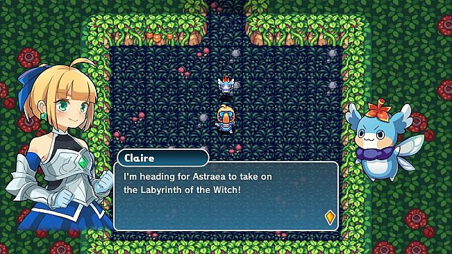 Labyrinth of the Witch