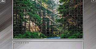 Super Jigsaw Puzzle: Generations - Forests