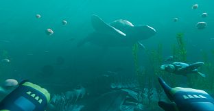 Paleo Dive