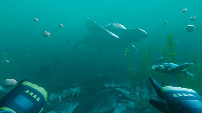 Paleo Dive