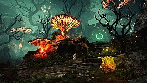 The Wizards - Dark Times: Brotherhood