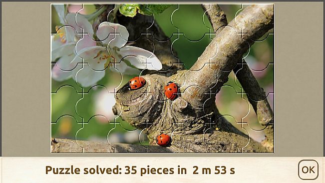 House of Jigsaw: The Best of Macro Photography