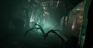 Rustmourne