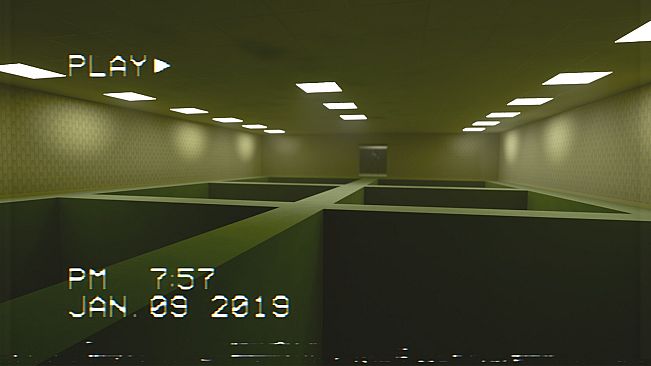 The Backrooms Footage