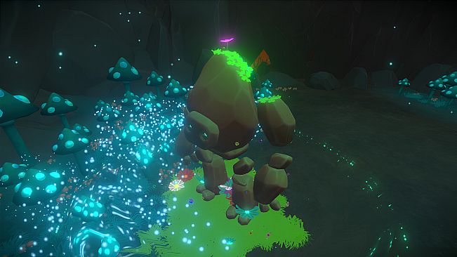 Unpetrified: Echoes of Nature