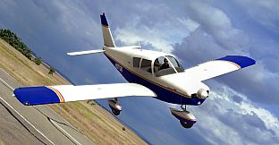 RealFlight Evolution - E-flite Cherokee 1.3m