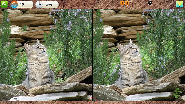 Peaceful Gardens 2: Cute Cats - Hidden Objects Collector's Edition