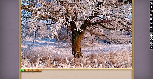 Jigsaw Puzzle Pack - Pixel Puzzles Ultimate: Winter