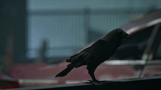 The Dust Remembers