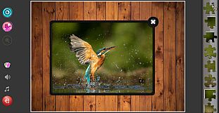 Nature & Wildlife - Jigsaw Puzzle