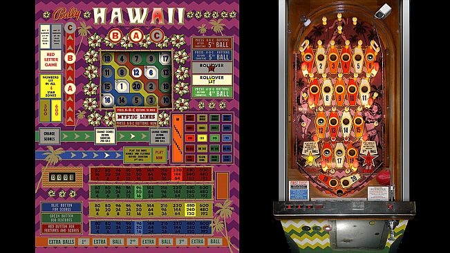 Bingo Pinball Gameroom - United Hawaii