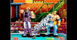 ACA NEOGEO AGGRESSORS OF DARK KOMBAT for Windows
