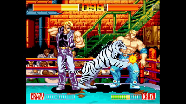 ACA NEOGEO AGGRESSORS OF DARK KOMBAT for Windows