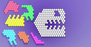 Hexagon Puzzle Blocks